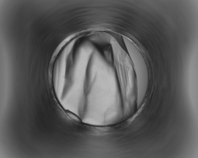 X0000083571196200703021738