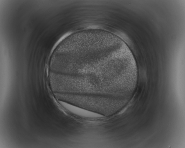 X0000083571198200703021738