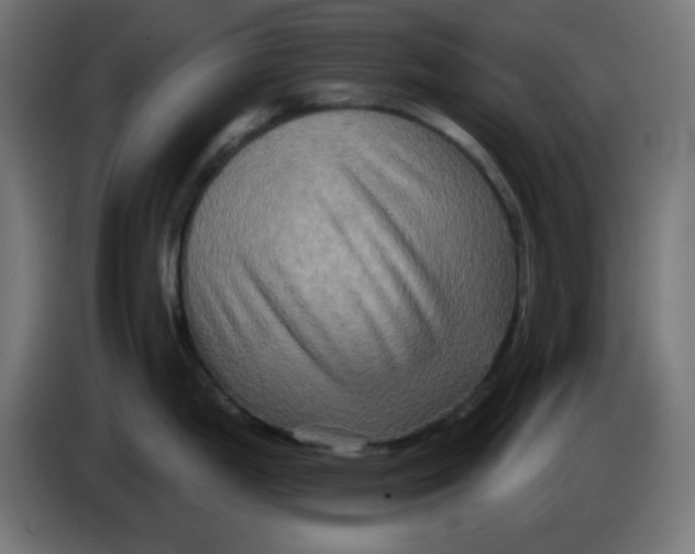 X0000083571199200703021738