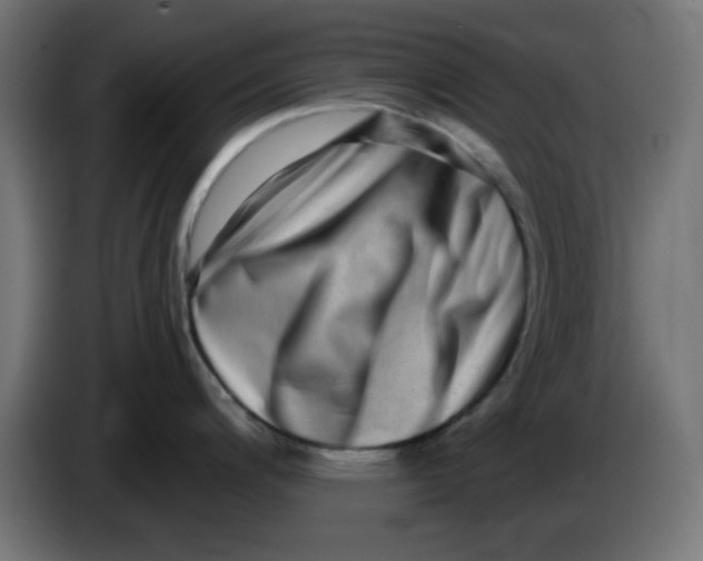 X0000083571200200703021738