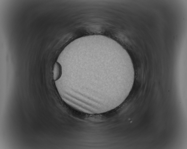 X0000083571201200703021737