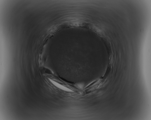 X0000083571202200703021737