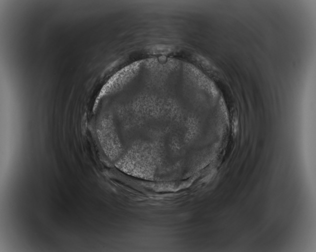 X0000083571204200703021737