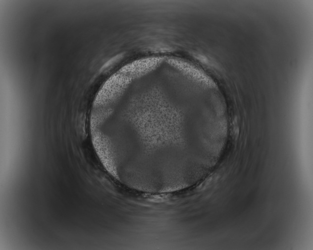 X0000083571205200703021737