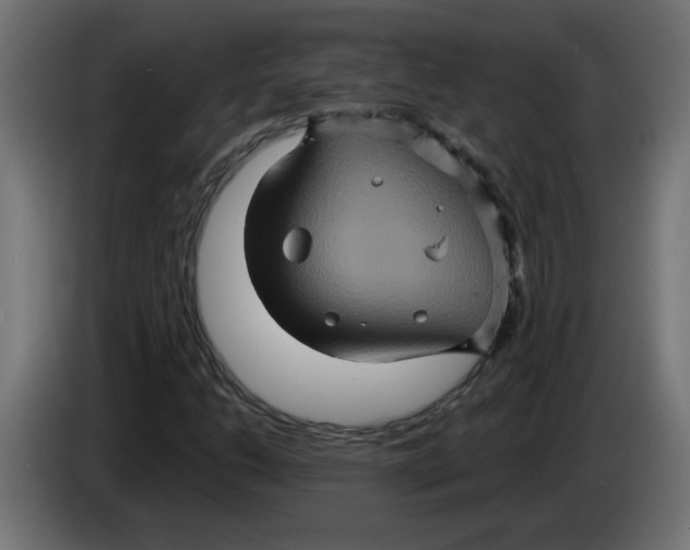 X0000083571206200703021737