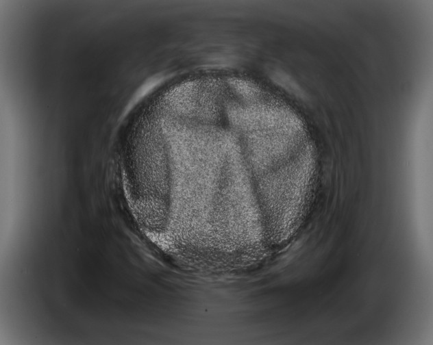X0000083571208200703021737