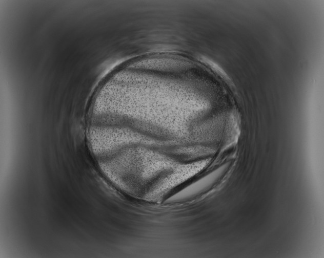 X0000083571212200703021737
