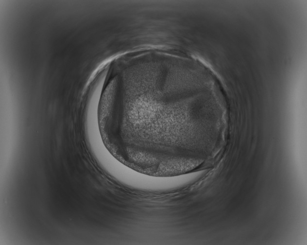 X0000083571214200703021738
