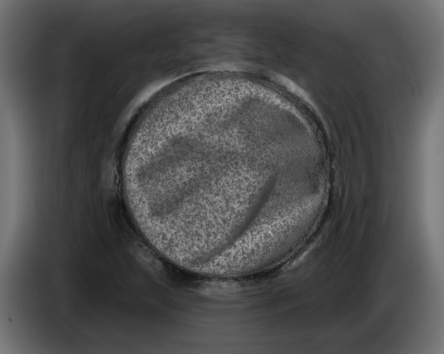 X0000083571215200703021738
