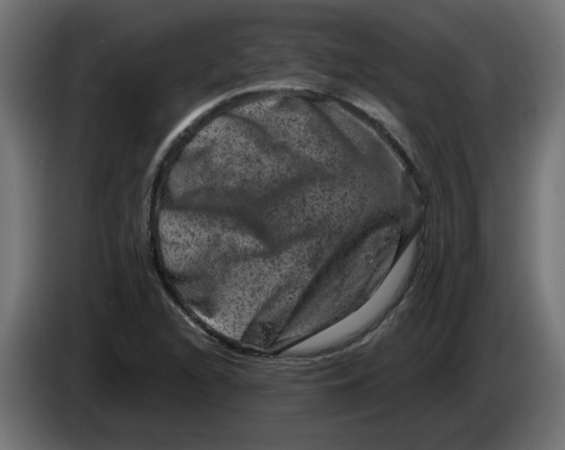 X0000083571216200703021738