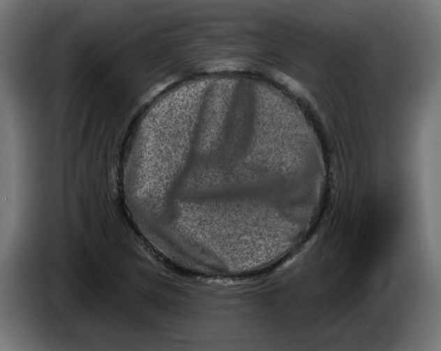X0000083571217200703021738