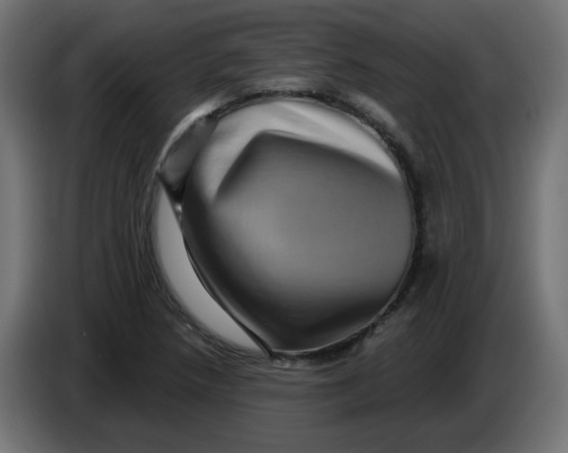 X0000083571218200703021738