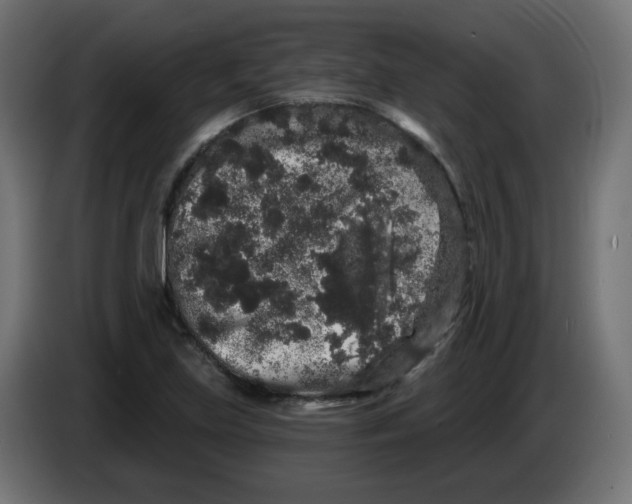 X0000083571219200703021738