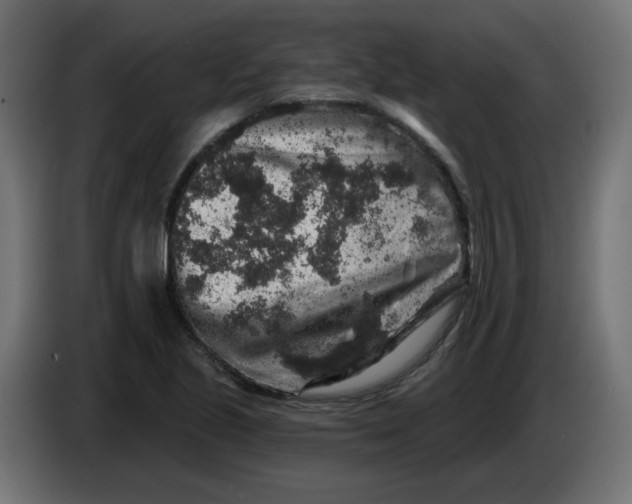 X0000083571221200703021738