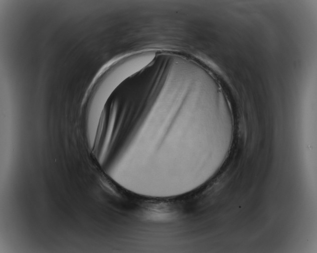 X0000083571222200703021738