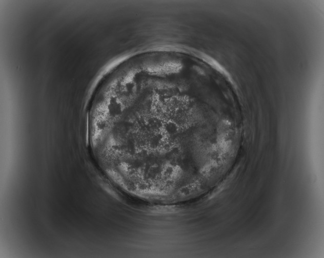 X0000083571223200703021738