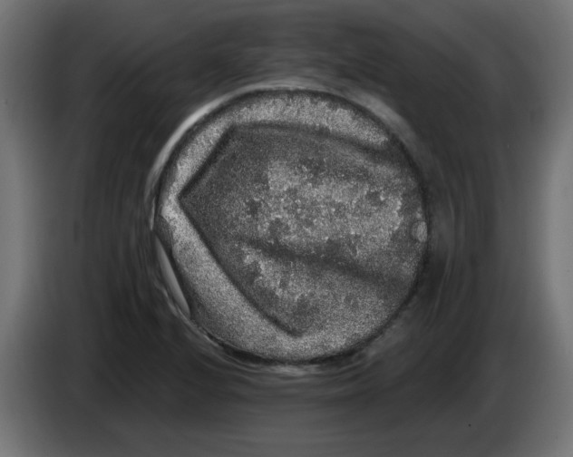 X0000083571224200703021738