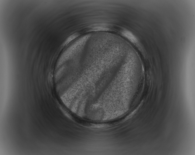 X0000083571225200703021738