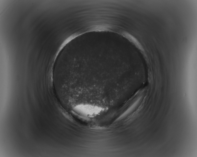 X0000083571226200703021738