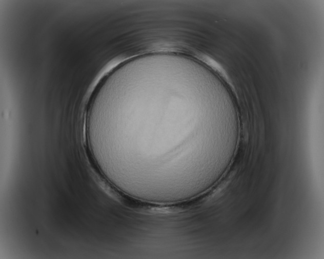 X0000083571227200703021738