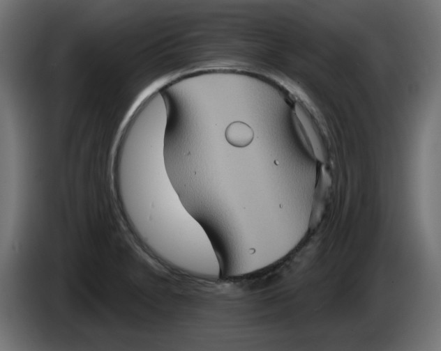 X0000083571230200703021738