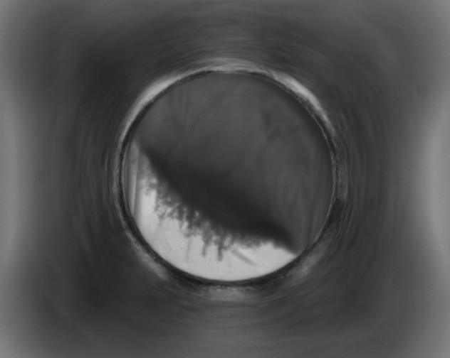 X0000083571231200703021738