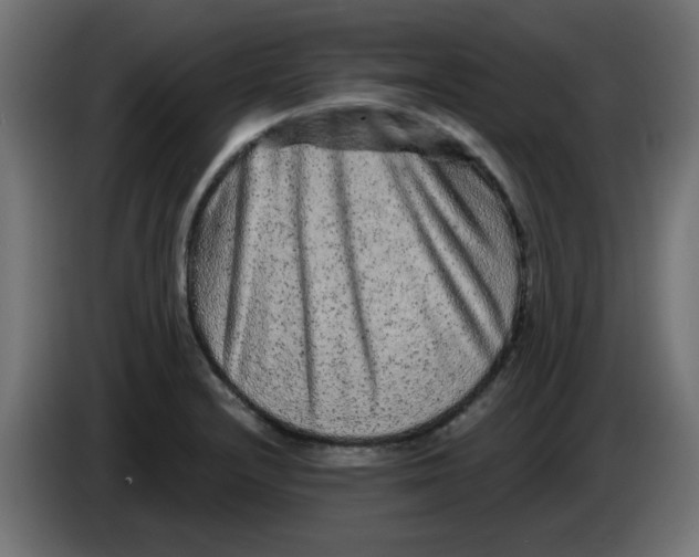 X0000083571232200703021738