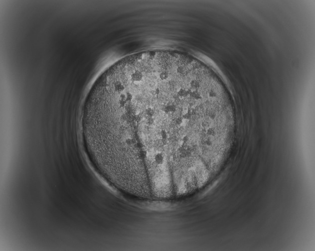 X0000083571235200703021738