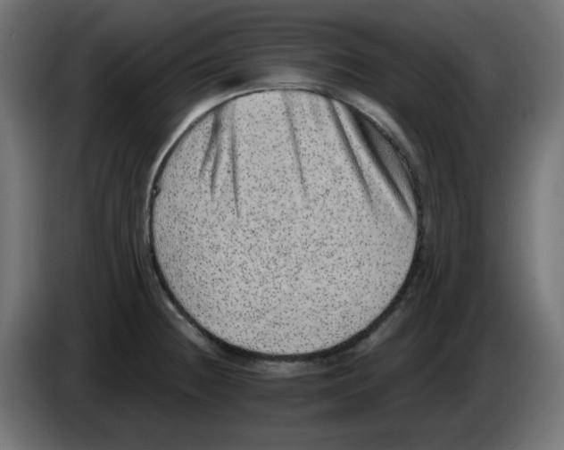 X0000083571236200703021738