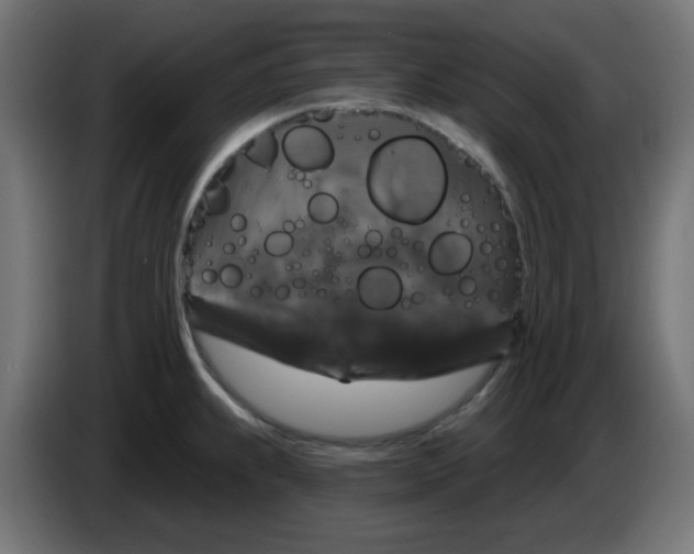X0000083571239200703021738