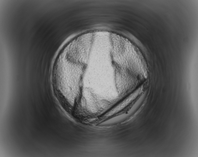 X0000083571240200703021738