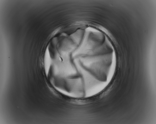 X0000083571241200703021738