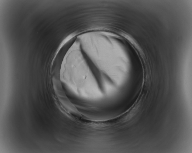 X0000083571242200703021738