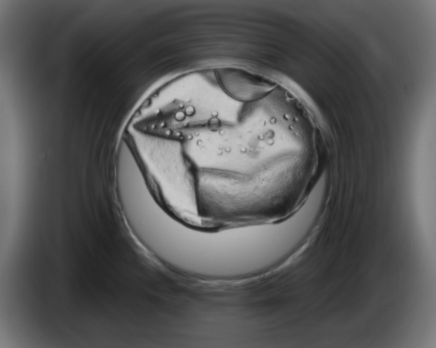 X0000083571244200703021738