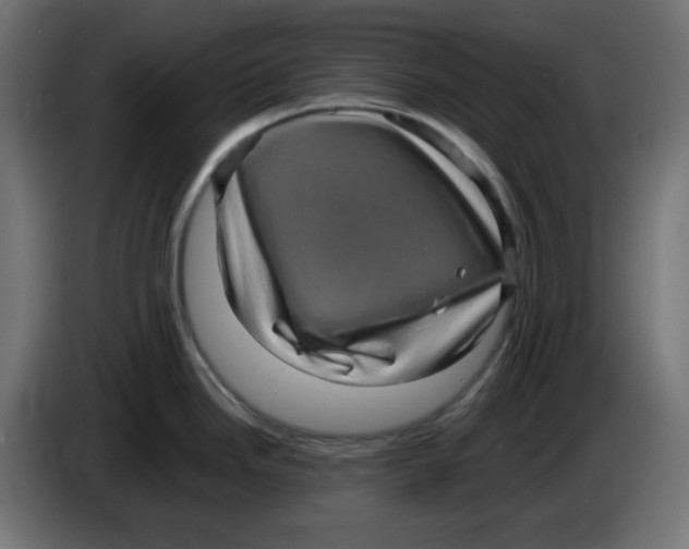 X0000083571246200703021738