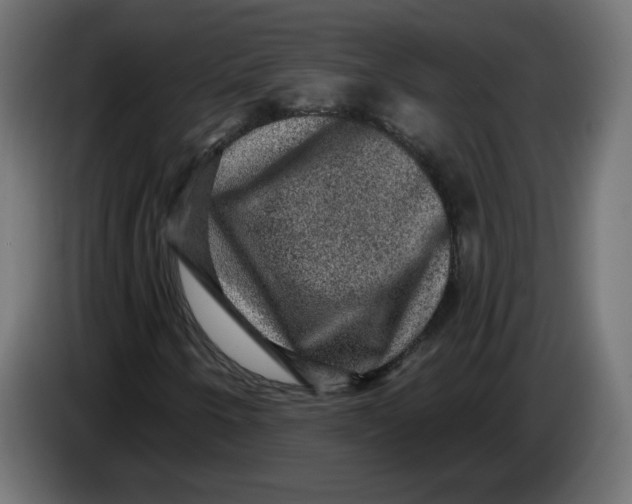 X0000083571250200703021737