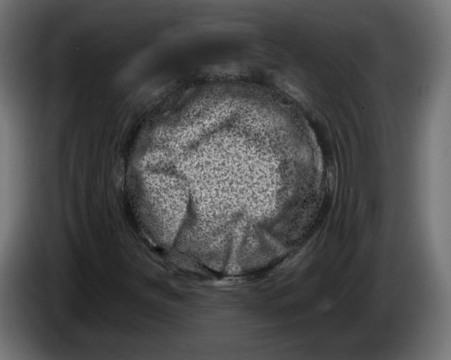 X0000083571251200703021737