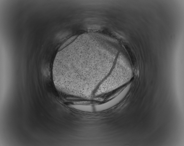 X0000083571252200703021737