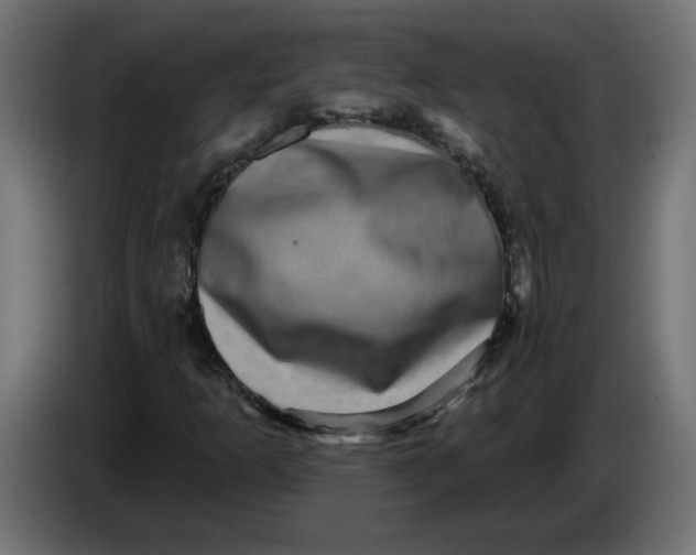 X0000083571253200703021737