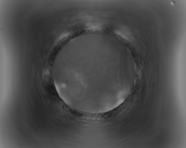X0000083571254200703021737