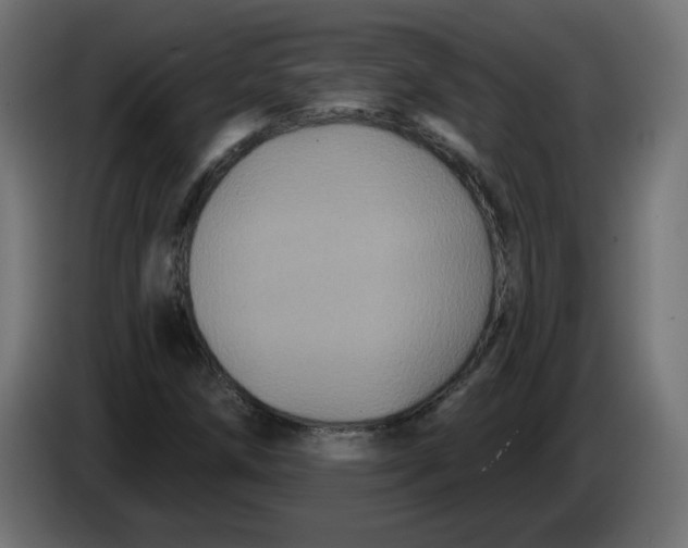 X0000083571258200703021737