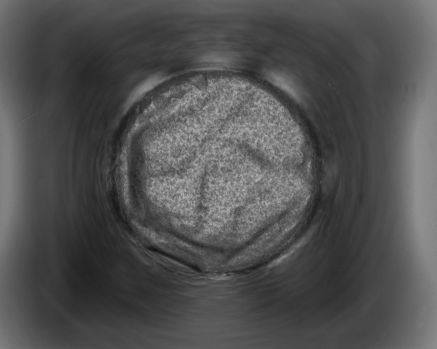 X0000083571259200703021737
