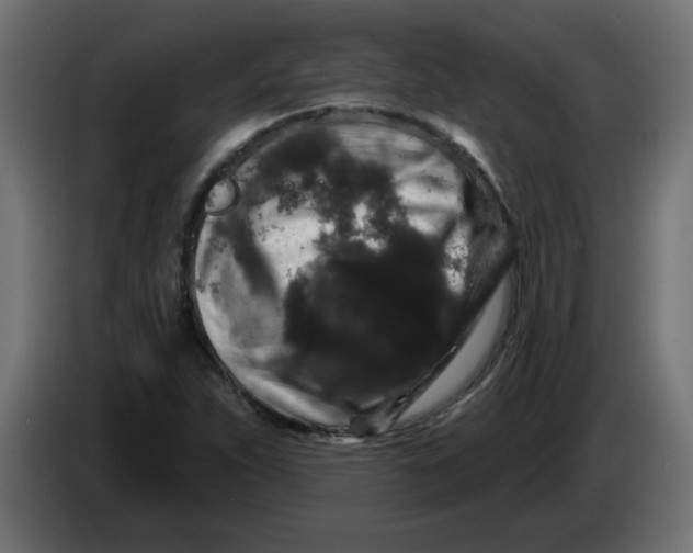 X0000083571263200703021737