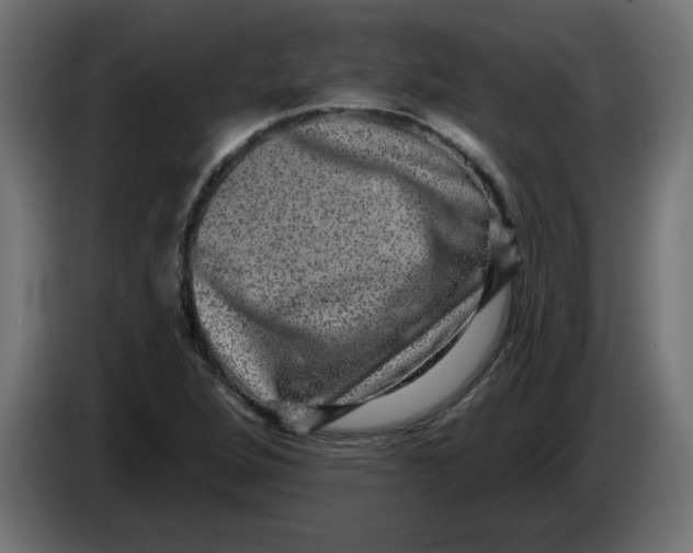 X0000083571264200703021737