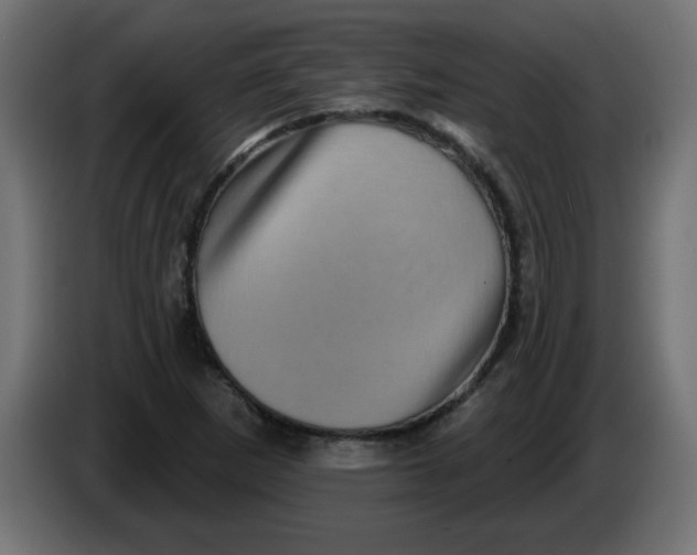 X0000083571265200703021737