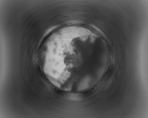 X0000083571266200703021737