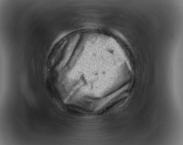 X0000083571267200703021737