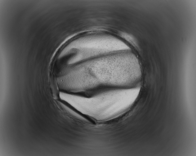 X0000083571268200703021737
