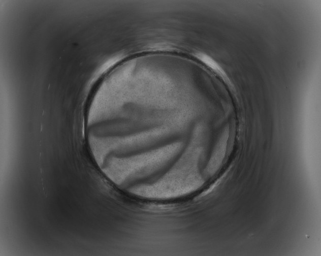 X0000083571269200703021737