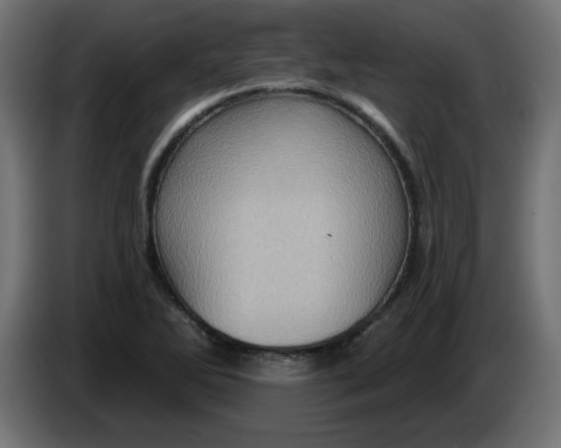 X0000083571270200703021737